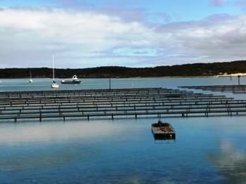 Longbeach Apartments Coffin Bay Bagian luar foto